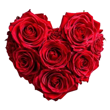 Любовь ❤ 
